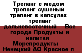 Трепанг с медом, трепанг сушеный, трепанг в капсулах, трепанг дальневосточный. - Все города Продукты и напитки » Морепродукты   . Ненецкий АО,Красное п.